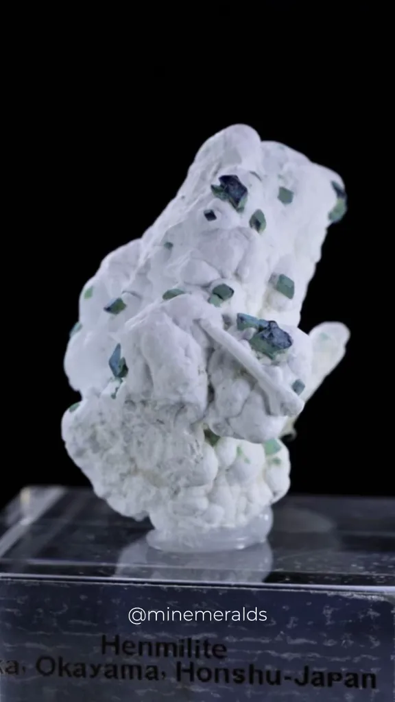 specimen video