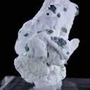 specimen video