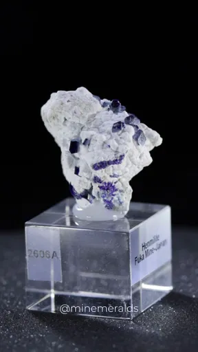 specimen video