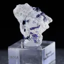 specimen video