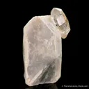 Herderite and Topaz - image 2