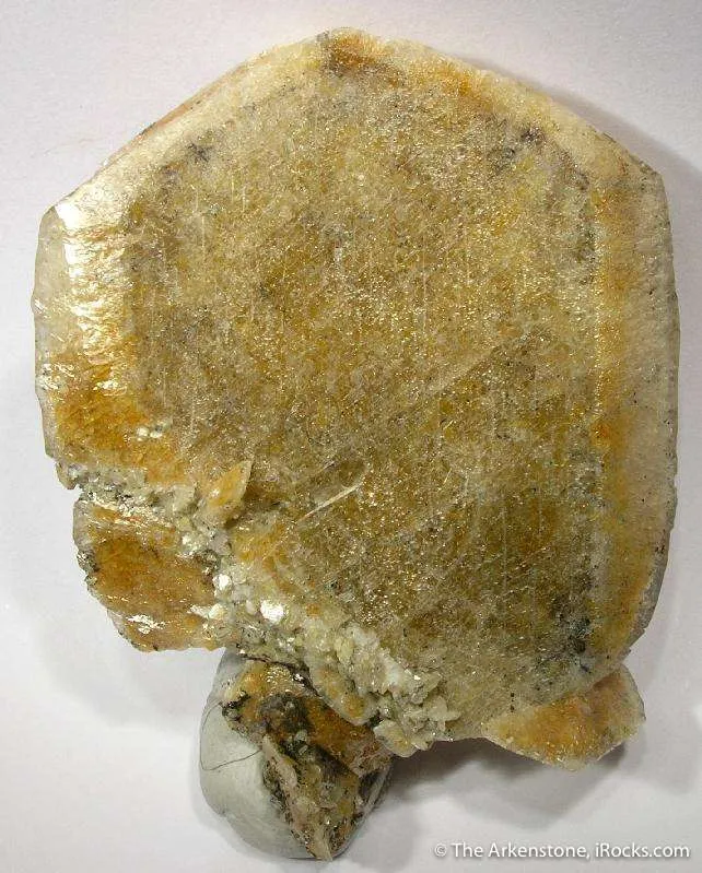 Herderite image