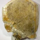 Herderite - image 1