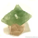 Herderite on Topaz - image 3