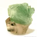 Herderite on Topaz - image 2