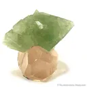 Herderite on Topaz - image 1