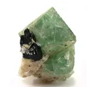 Herderite, Schorl and Albite - image 2