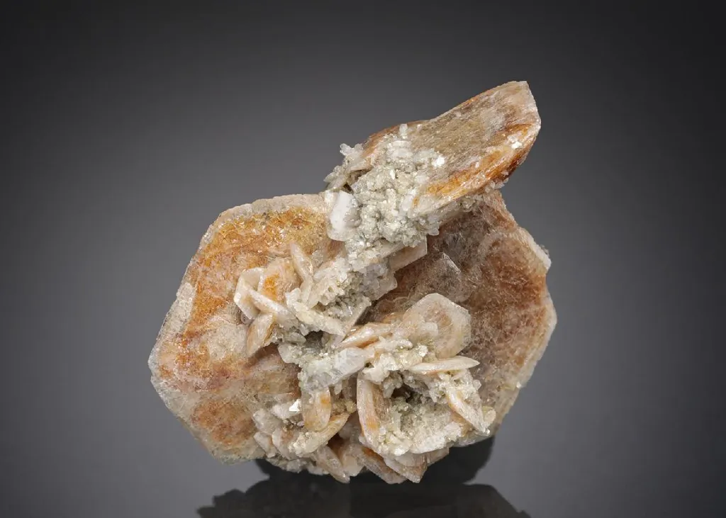 Herderite with Muscovite image