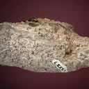 Hessite - image 5