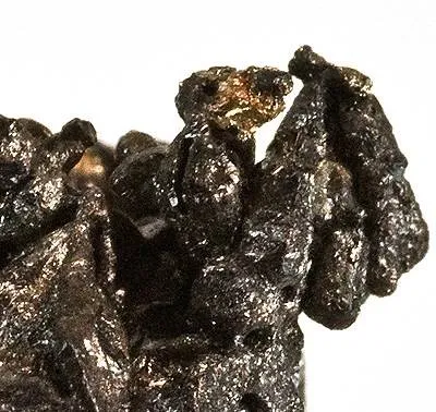 Hessite, Gold - image 2