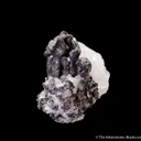 Hessite on Quartz - image 4