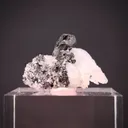 Hessite on Quartz - image 2