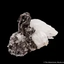Hessite on Quartz - image 1