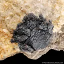Hessite on Quartz - image 1