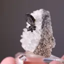 Hessite on Quartz - image 2