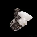 Hessite on Quartz - image 5