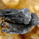 Hessite on Quartz - image 5
