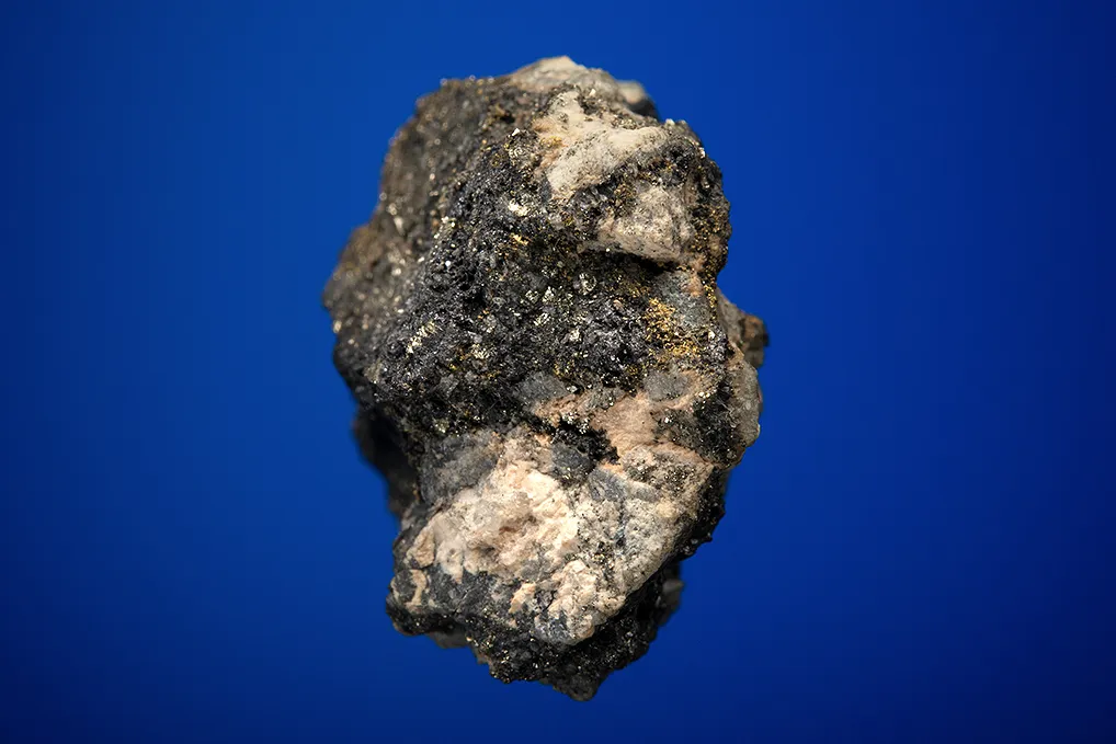 Hessite with PETZITE and Gold - image 4