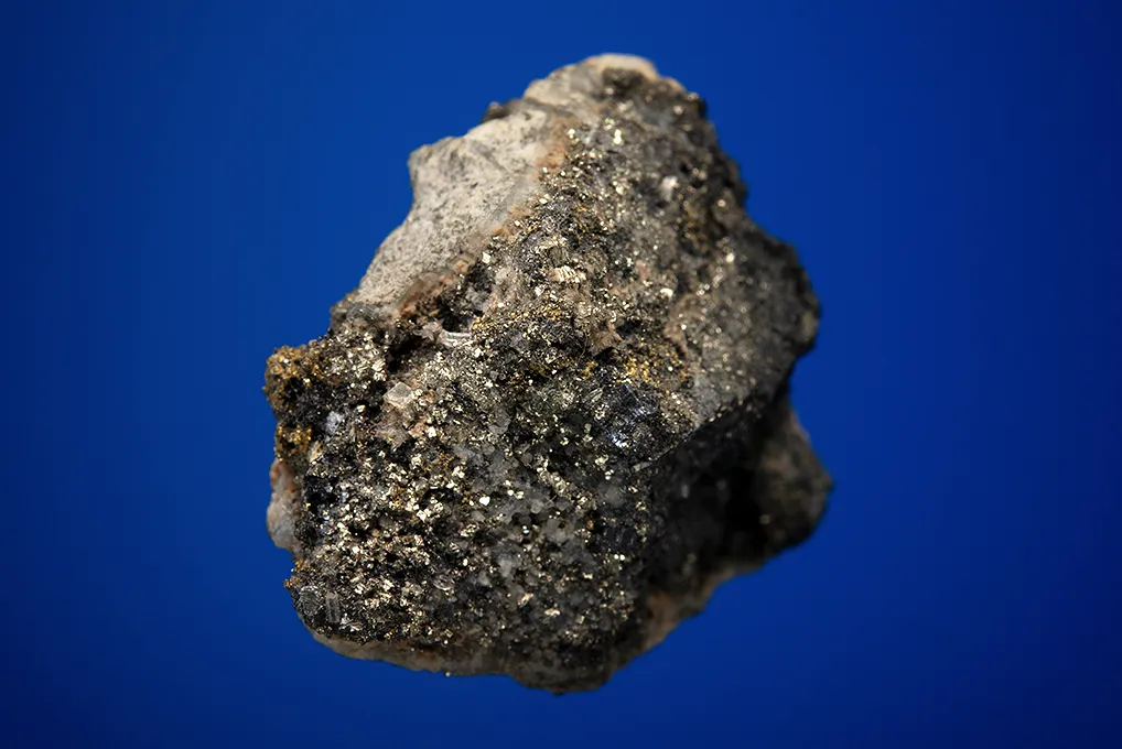 Hessite with PETZITE and Gold - image 5