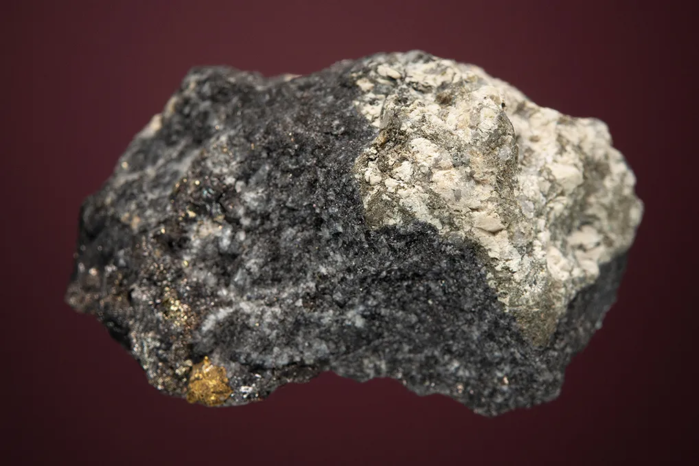 Hessite with PETZITE, COLORADOITE and Gold - image 5