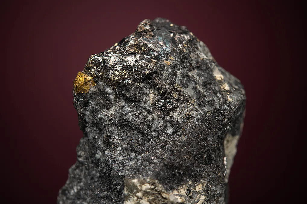 Hessite with PETZITE, COLORADOITE and Gold - image 3