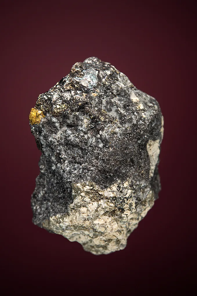 Hessite with PETZITE, COLORADOITE and Gold - image 1