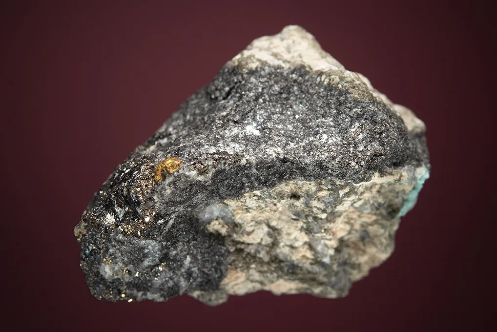 Hessite with PETZITE, COLORADOITE and Gold - image 4