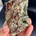 specimen video