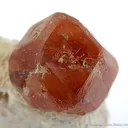 Hessonite Garnet - image 1