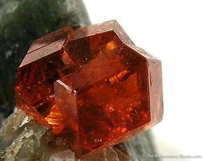 Hessonite Garnet on Diopside - image 3