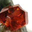 Hessonite Garnet on Diopside - image 3