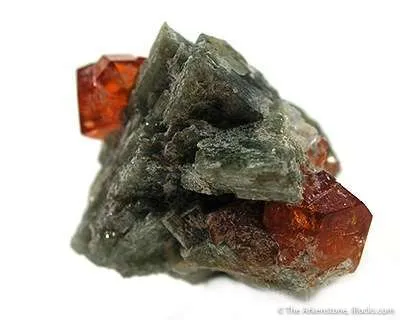 Hessonite Garnet on Diopside - image 2