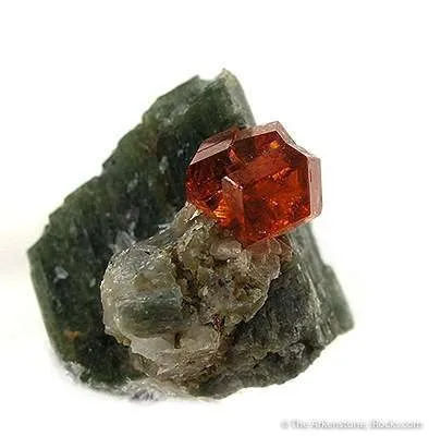 Hessonite Garnet on Diopside image