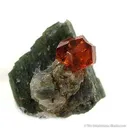 Hessonite Garnet on Diopside - image 1