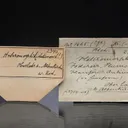 HETEROMORPHITE or Boulangerite with Sphalerite, Siderite - image 1