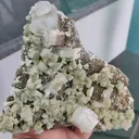specimen video