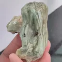 specimen video