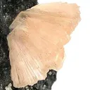Heulandite - image 2