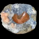 Heulandite and Stilbite on Chalcedony | SELF STANDING | High Quality Mineral | Indian Mineral | Superb Minerals - image 1