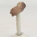 Heulandite Bow on Chalcedony Natural Mineral Specimen - image 2