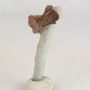 Heulandite Bow on Chalcedony Natural Mineral Specimen - image 3