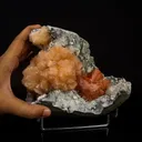 Heulandite Bow with Stilbite Natural Mineral Specimen - image 8