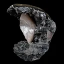 Heulandite Crystal Inside Black Chalcedony Geode Natural Mineral Specimen - image 2