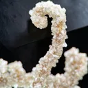 Heulandite Dragon - image 3