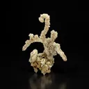 Heulandite Dragon - image 1