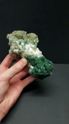 specimen video