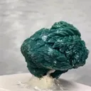 specimen video