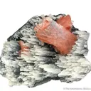 Heulandite on Chalcedony - image 1