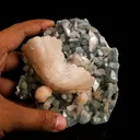 Heulandite Petals in Chalcedony geode Free Standing Natural Mineral Specimen - image 4