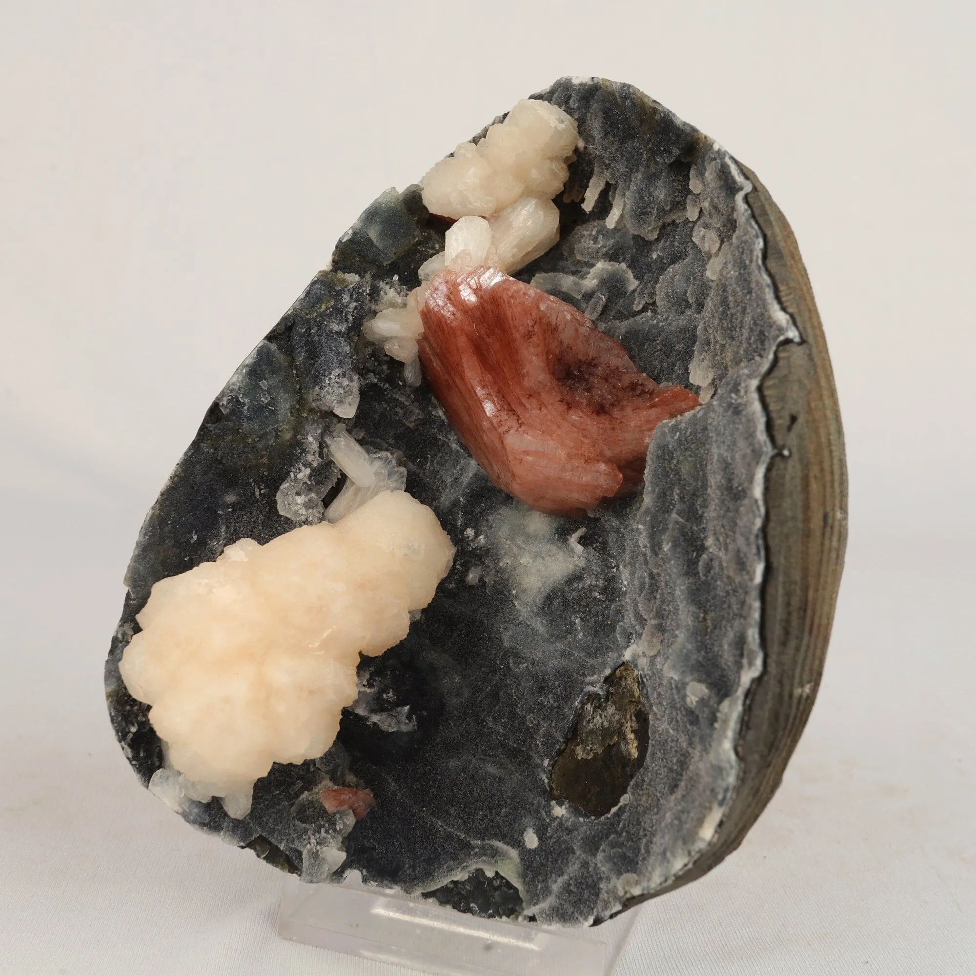 Heulandite Petals with Stilbite in Chalcedony geode Natural Mineral Specimen - image 3